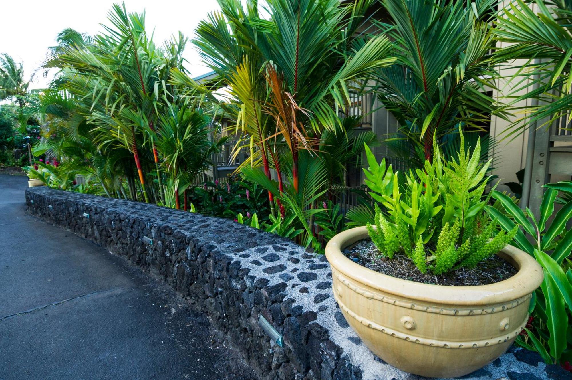 Apartamento Kai Maui - #105 Kaihalulu Hana